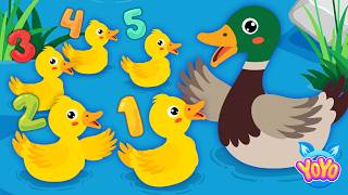 Beş Küçük Ördek Eğlenceli Ve Eğitici Çocuk Şarkıları Yoyo Çocuk