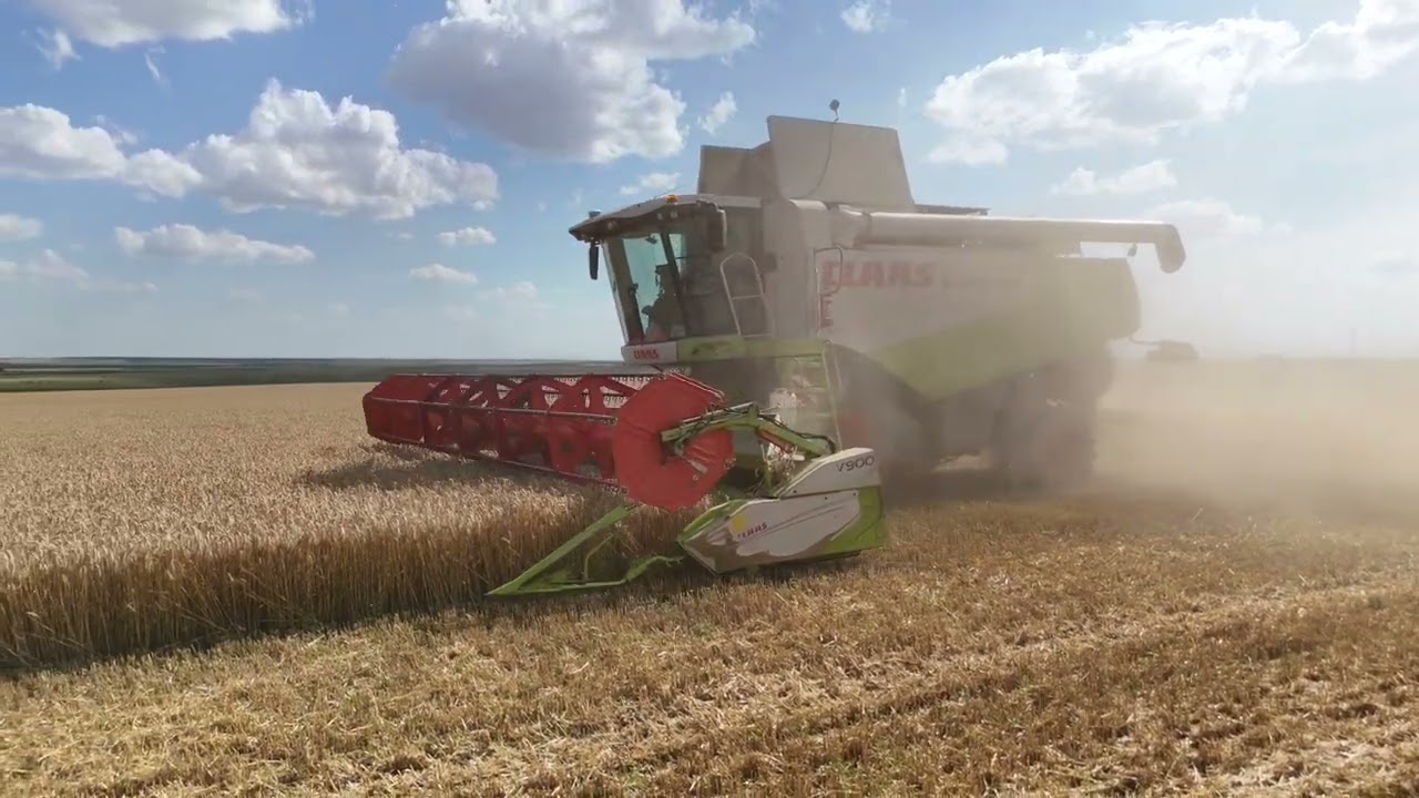 Lexion 580 - Wheat  Harvesting 2024