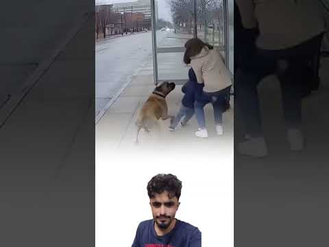 الرحمة مش بس للإنسان حتى الحيوان عنده قلب حي اكسبلور لايك    