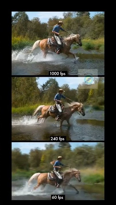 Difference between 60 fps, 240 fps & 1000 fps. - YouTube