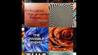 X 1 - Extremental 1 _ Mawar Jingga