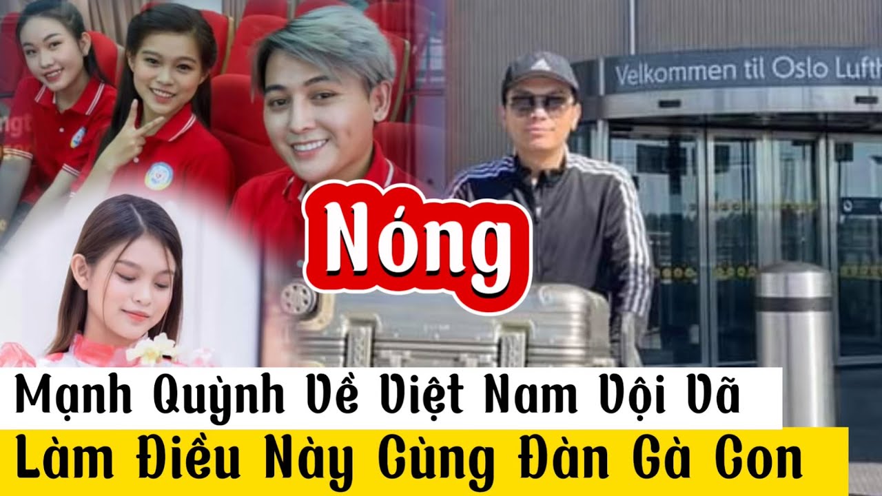 🔴 Nóng: Khi Về Việt Nam Mạnh Quỳnh Và Đàn Gà Con Vội Vã Làm Điều Này - YouTube