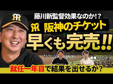 阪神タイガース 2025年 ボブルヘッド人形 22 藤川 新監督 ボブルヘッド