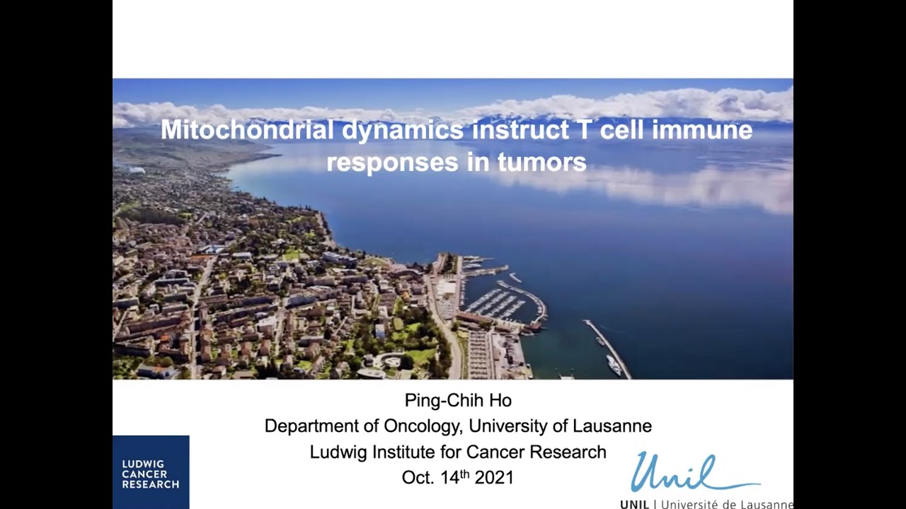 Mitochondrial dynamics orchestrate T cell anti tumor immunity