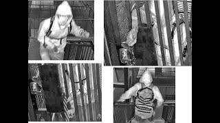 Detectives Seek Identity of Commercial Burglar