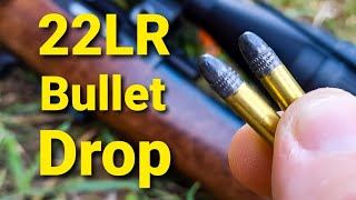 22LR Bullet Drop  Demonstrated and Explained