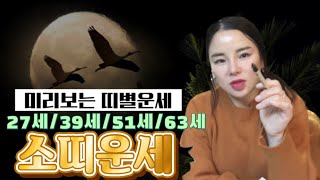 2023년 계묘년 소띠 나이별로 보는 운세 금전 재물운 대박난다