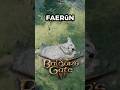 Bet you can't guess the last location 😏 My #dog Katrin 🥰 #bg3 #baldursgate #gaming  #baldursgate3