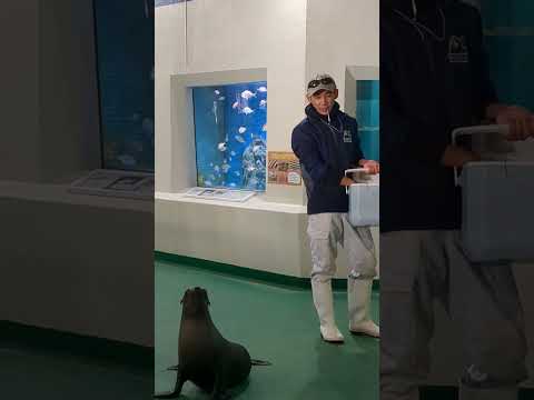 コエルちゃんと水族館デート💕