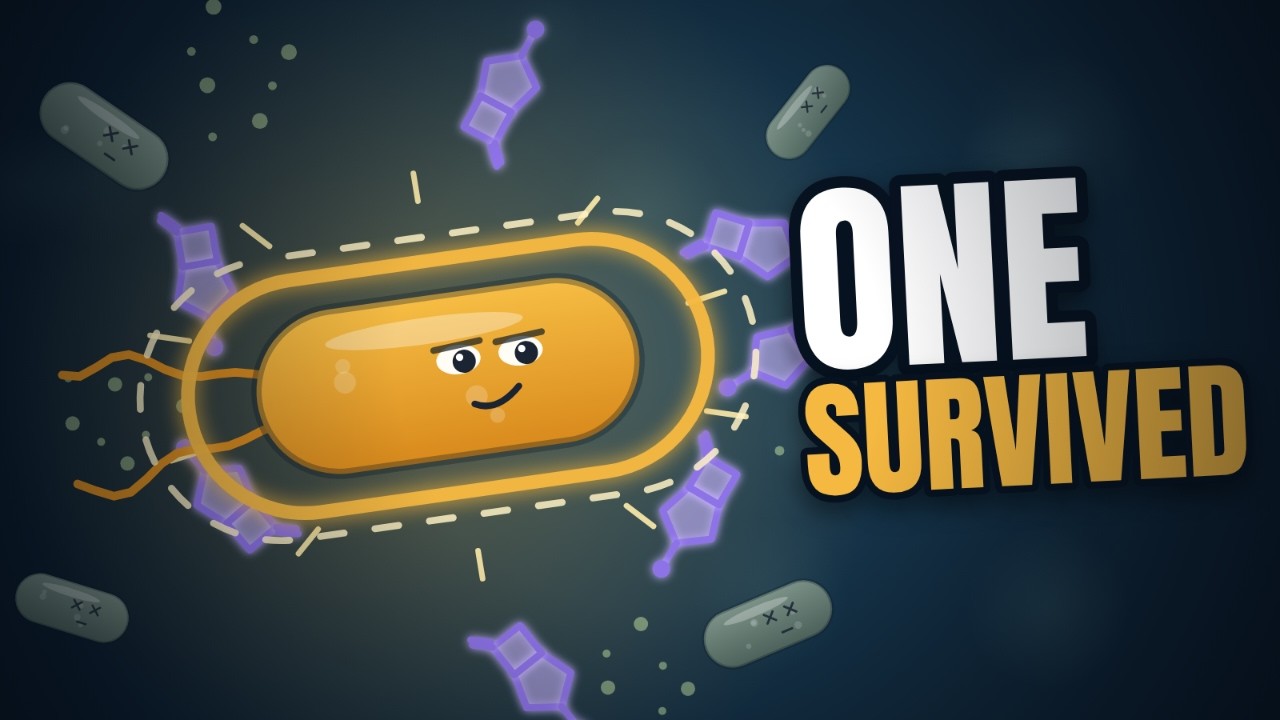 How Bacteria Learn to Beat Antibiotics #antibiotics - YouTube