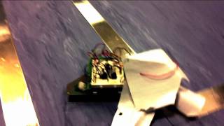 Mutant Robot Goes Crazy in Laboratory