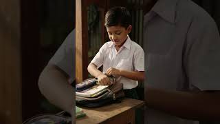 schoolboy gives flower to his teacher