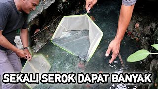 CARI IKAN CERE DI GOT UNTUK IKAN PREDATOR