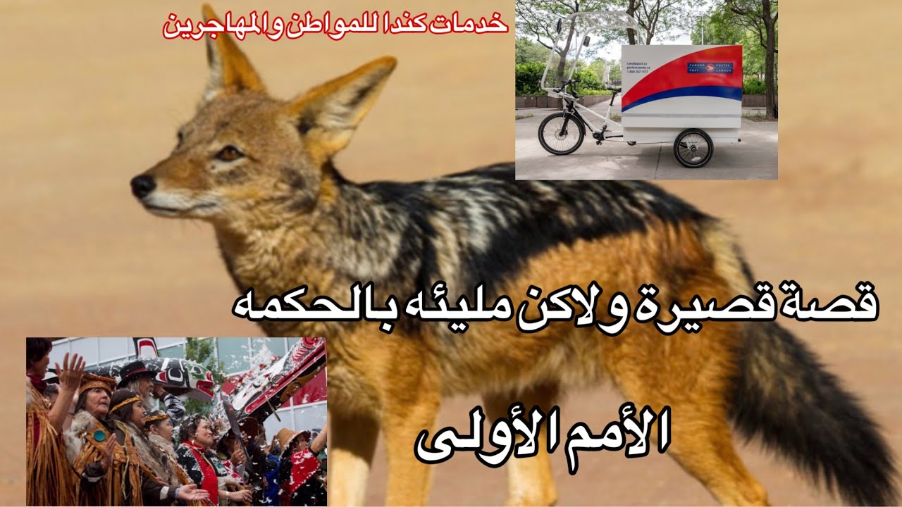 كندا والسكان الأصليين  العبرة في النهاية شاهد وتمعن