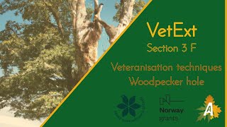 VetExt / Section 3 F / Veteranisation techniques / Woodpecker hole