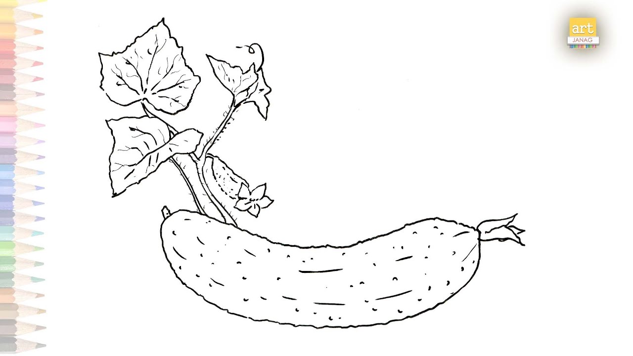 Cucumber Drawing  HelloArtsy