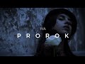 Iva  prorok official