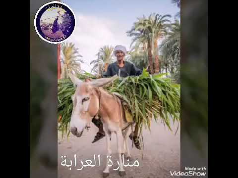 بعد ابوك السند مين لاتقولي عمي ولا خالي ابويا ضهري وسندي هو دراعي ويدي ولو مره قولت الاه يقولي