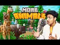 Minecraft Live Stream | #minecraft #betterminecraft #livegame #shorts