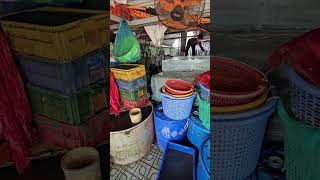 Mroźna Przygoda Jak Rybacy Przechowują Połów Na Rabie