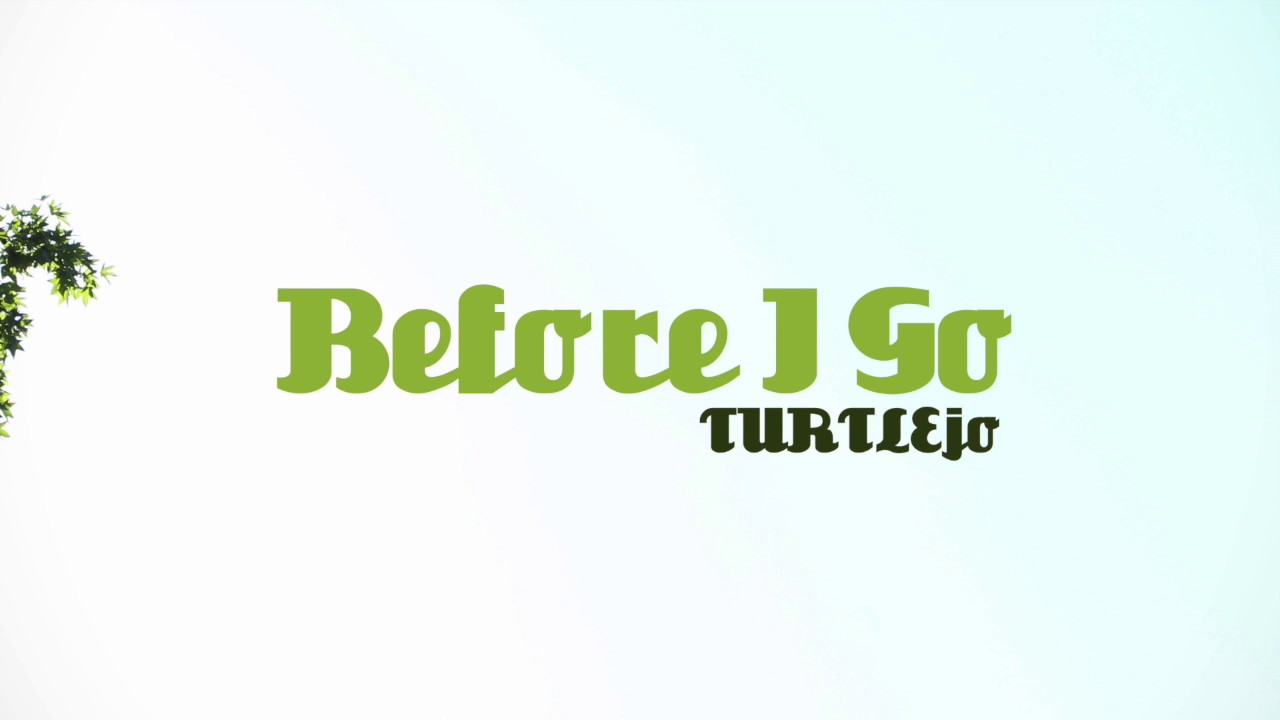 rap song 2019 Before I Go - TURTLEjo