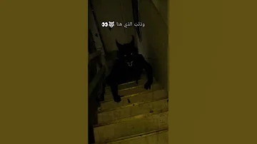 ياصغير لما لا تنام اكسبلور احبكم رعب تصميمي لايك اشتراك الشامي 