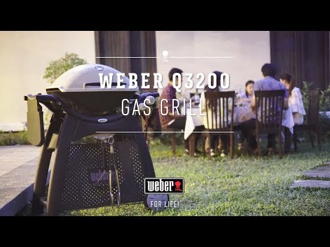 Weber Q 3200