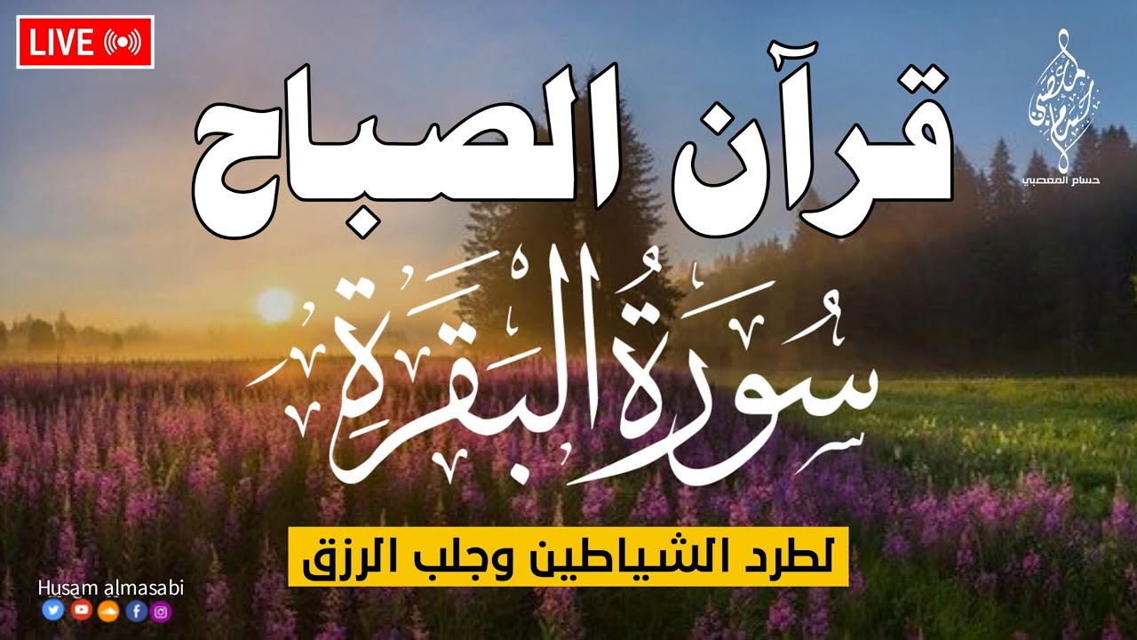 قرآن صباح رمضان ☀️ قران كريم سورة البقرة لحفظ و تحصين المنزل وجلب البركه والرزق Surat Al-Baqarah