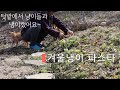 [Sub]  언 땅에서 캔 냉이 한 줌으로 만든 냉이 파스타~!! / Rural life in Korea