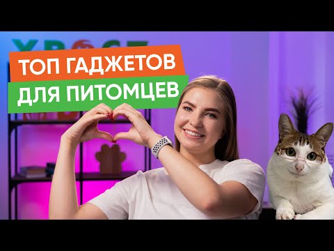 Как продлить жизнь своей кошке и другие новости “Хвост Ньюс” #121