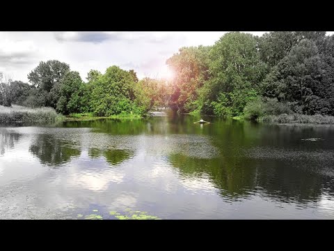 Tutorial Gimp - Glowing Color Splash