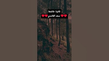 تلاوة خاشعة الشيخ سعد الغامدي #القرآن_الكريم #المصحف #اكسبلور #quran #تيك_توك #راحة_نفسية #الرحمن