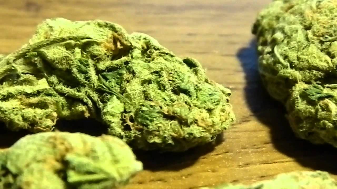 The Fajita Mike Show, hempisode one, part 1 (Mary Jane