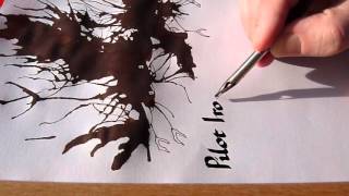 Pilot Iroshizuku Tsukushi