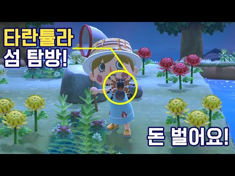 동물의 숲 타란튤라 섬이 떴어요 mp3 동물의 숲 타란튤라 섬이 떴어요 Mp3