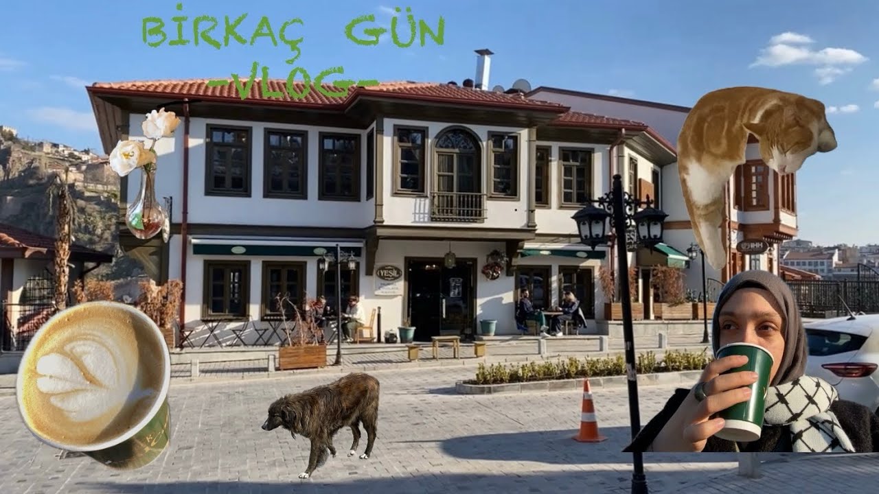 Son birkaç günün vlogu