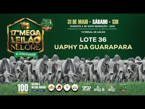LOTE 36 - ELMF 4756