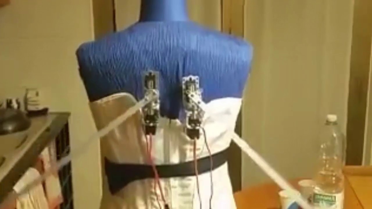 Moving Wings - Arduino test wip - YouTube