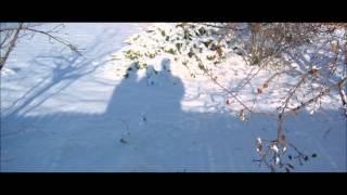 Rebecca Saunders - Shadow (2013)