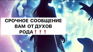 🔥СРОЧНОЕ СООБЩЕНИЕ ОТ ДУХОВ РОДА ВАМ❗️❗️❗️🔥🔥🔥🔥#strunatarot       #таро#враги