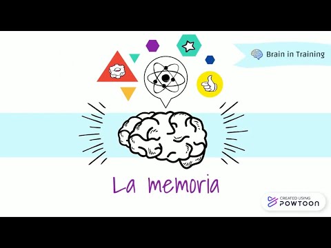 IMPARIAMO COS&rsquo;È LA MEMORIA...IN 3 MINUTI! || Brain in Training 🧠