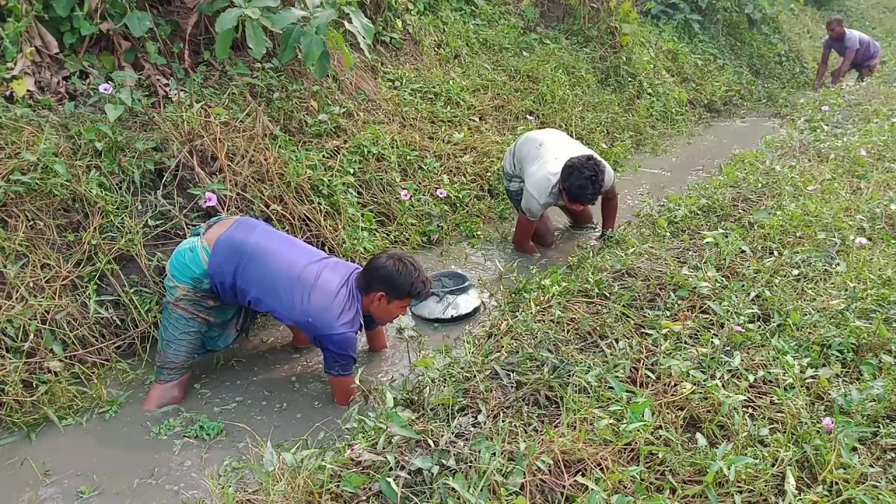 Amazing Boy Catching Big Fish In Mud Water | Hand Fishing For Catfish ...