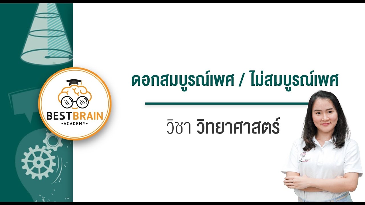 BESTBRAIN : ดอกสมบูรณ์เพศ / ไม่สมบูรณ์เพศ