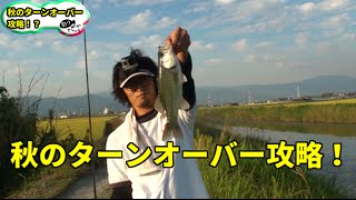 バス釣り　秋のターンオーバー攻略！？