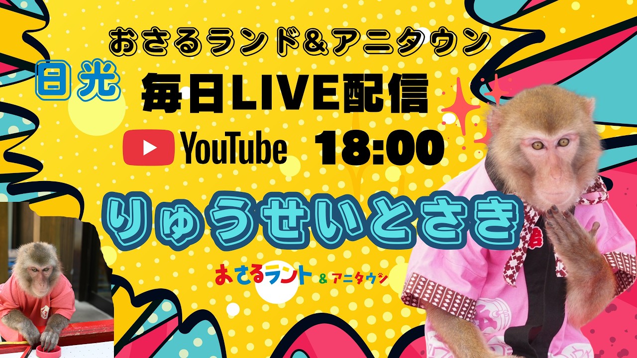 Vol. 76 Ryusei and Saki are live on Osaru Land Channel! - YouTube