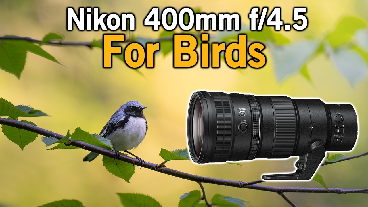 The Nikon 400mm f/4 5, In the Field with Songbirds - YouTube