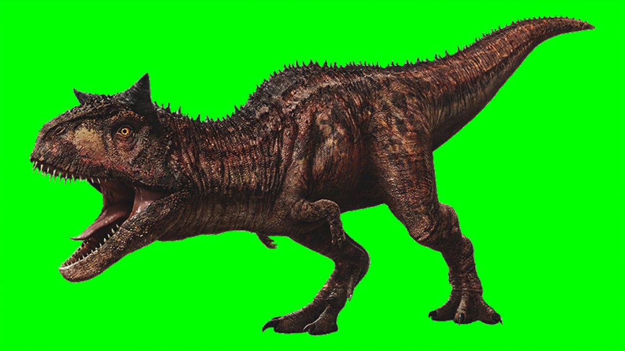 T Rex Blue screen animation walk run Dinosaur CGI animated 3D Studio Max  chroma key after effects 