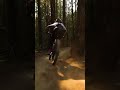 ::: The perfect trails don't exist? Those flowy ones with CJ are 🤤