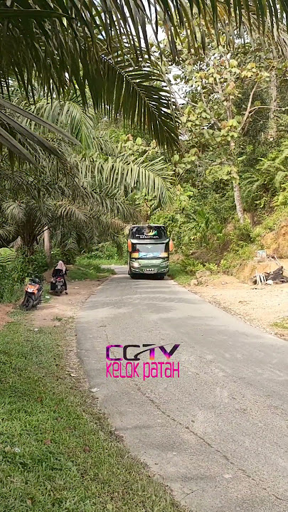 BUS ALS 117 MELEWATI TIKUNGAN LETER U PASAMAN, JALUR EXTREME HANYA ALS SATU-SATUNYA YG LEWAT