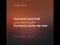 Kurmanci Here Gule مترجم Lyrics Arabic Kurdish English 